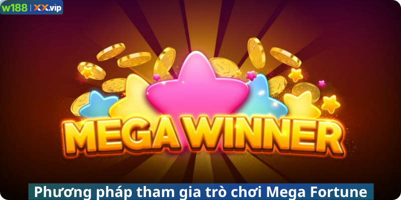 Phương pháp tham gia trò chơi Mega Fortune