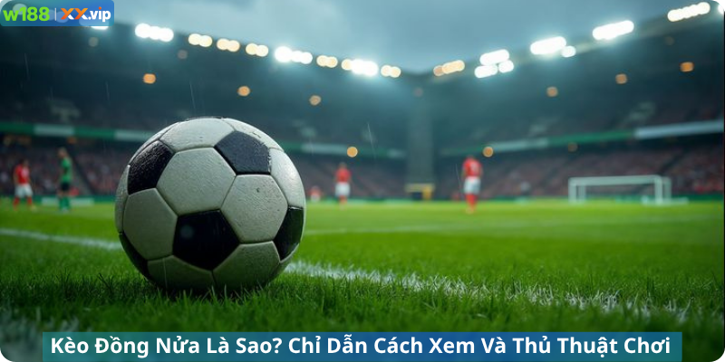 Kèo Đồng Nửa Là Sao? Chỉ Dẫn Cách Xem Và Thủ Thuật Tại W188