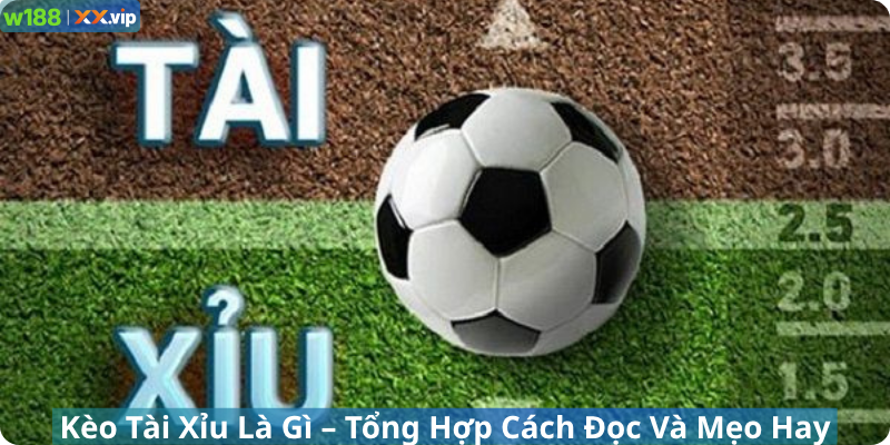 Kèo Tài Xỉu Là Gì – Tổng Hợp Cách Đọc Và Mẹo Hay Tại W188