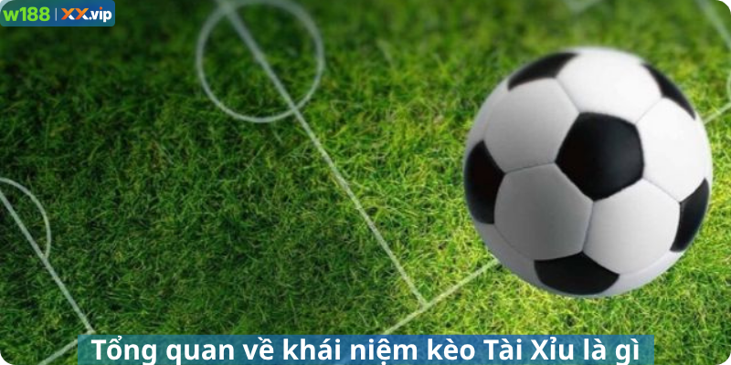 Tổng quan về khái niệm kèo Tài Xỉu là gì