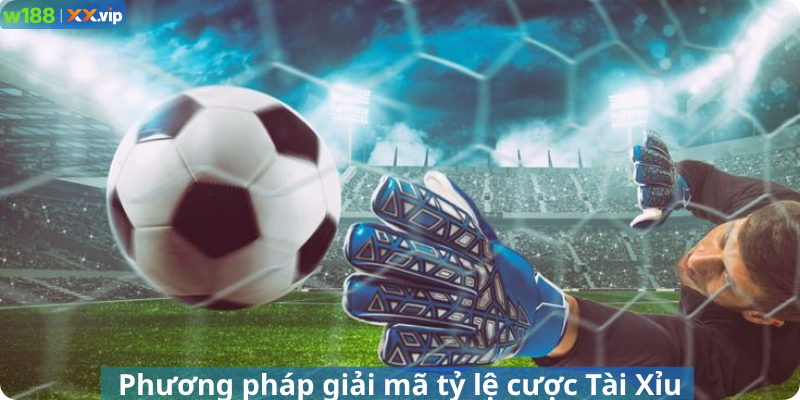 Phương pháp giải mã tỷ lệ cược Tài Xỉu