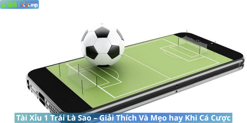 Tài Xỉu 1 Trái Là Sao – Giải Thích Và Mẹo hay