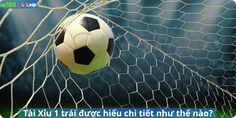 Tài Xỉu 1 trái được hiểu chi tiết như thế nào?