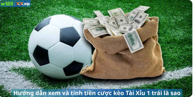 Hướng dẫn xem và tính tiền cược kèo Tài Xỉu 1 trái là sao