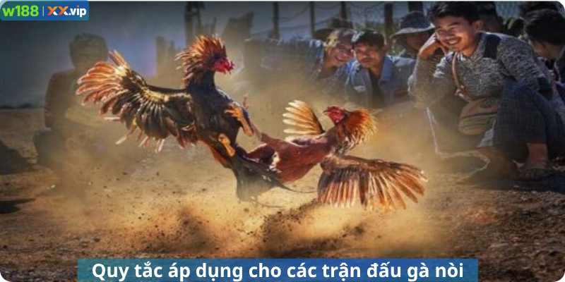 Quy tắc áp dụng cho các trận đấu gà nòi