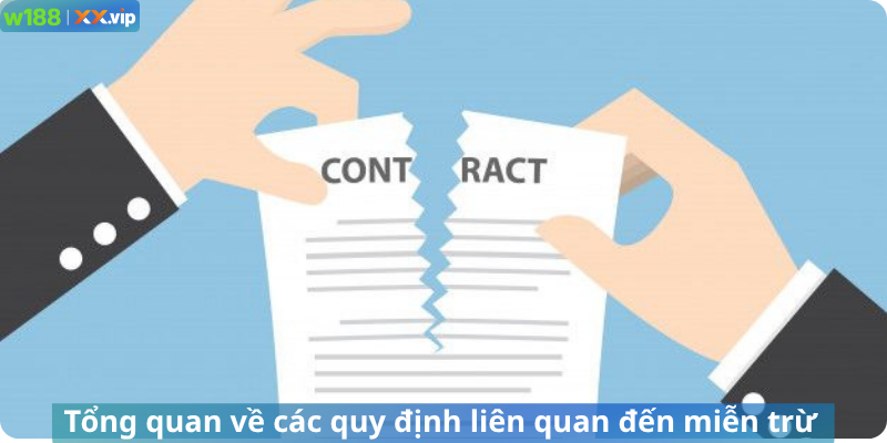 Tổng quan về các quy định liên quan đến miễn trừ