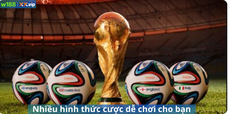 Nhiều hình thức cược dễ chơi cho bạn