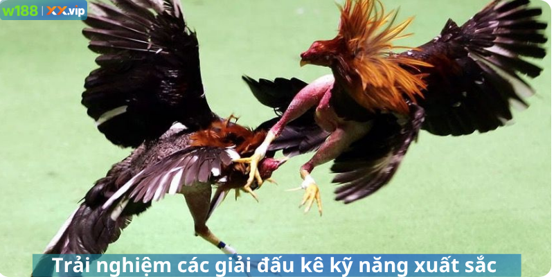 Trải nghiệm các giải đấu kê kỹ năng xuất sắc